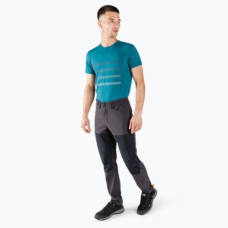 Pantaloni da trekking da uomo Peak Performance Iconiq iron cast nero 2