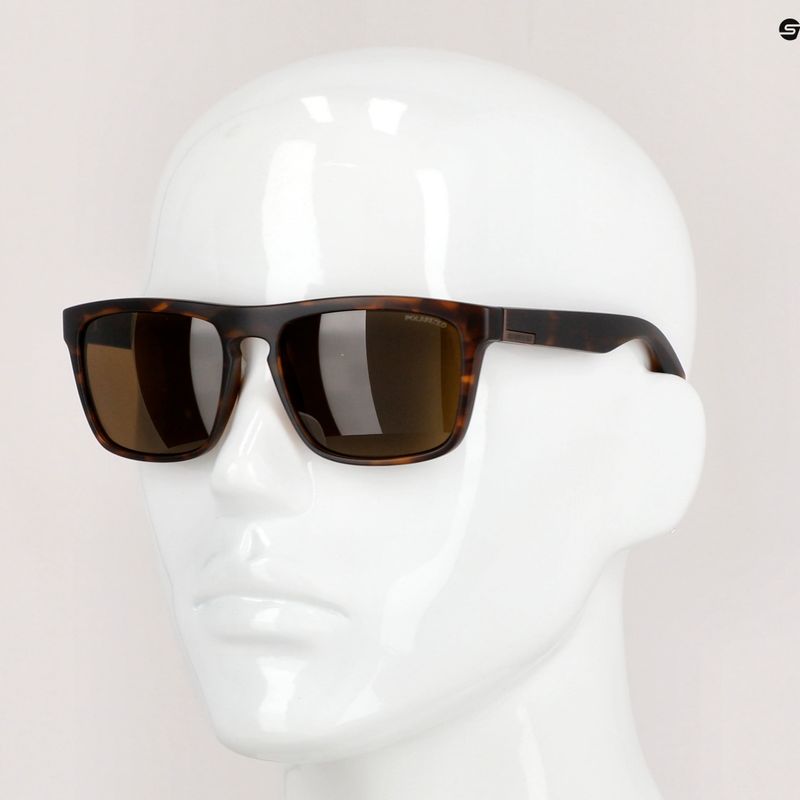 Occhiali da sole Quiksilver The Ferris Polarized tartaruga opaca/marrone hd polarizzati 9