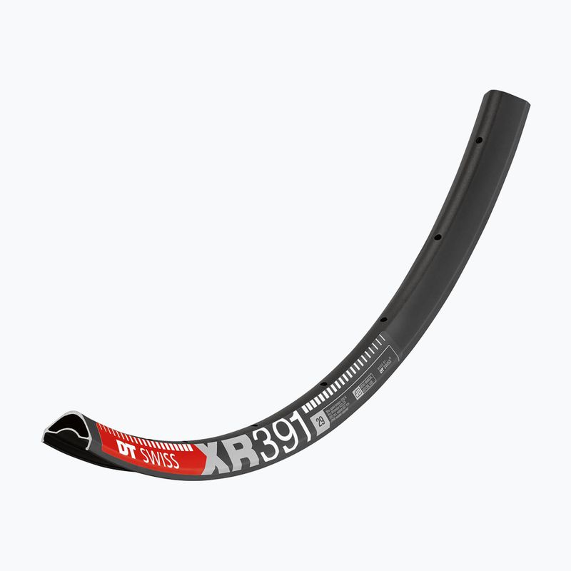 DT Swiss XR 391 29 25 MM DB VI 32 nero cerchio bicicletta