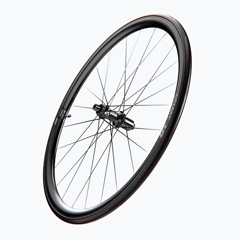 DT Swiss AR 1600 SP 700C CL 30 12/142 ASL11 nero ruota posteriore bicicletta 2