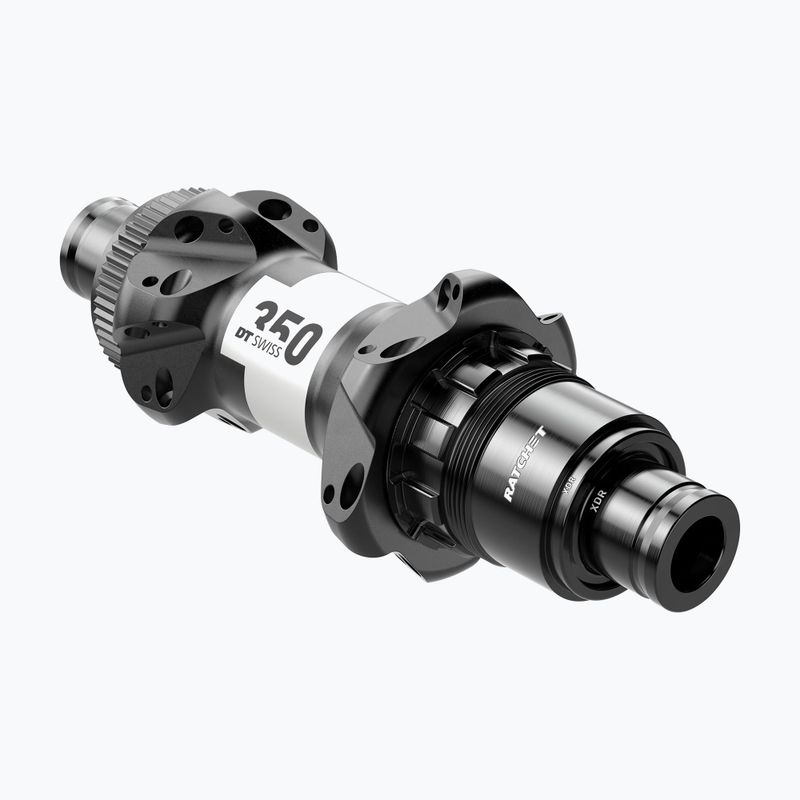 DT Swiss 35P 142/12 ROCL AXDR R24 BM ASM W mozzo posteriore nero
