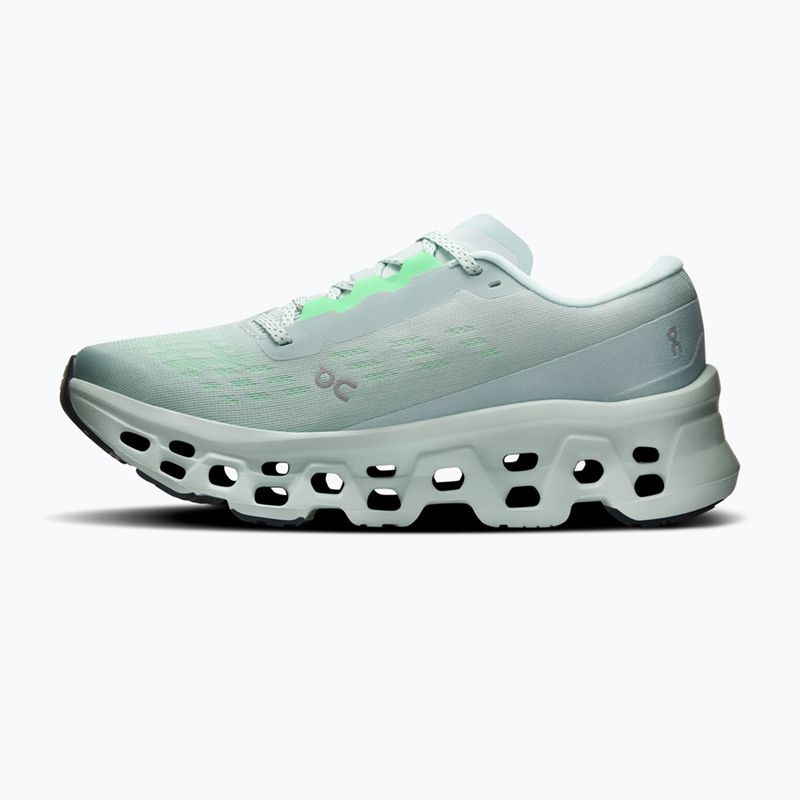 Scarpe da corsa donna On Cloudmonster 3 brook/flurry 2