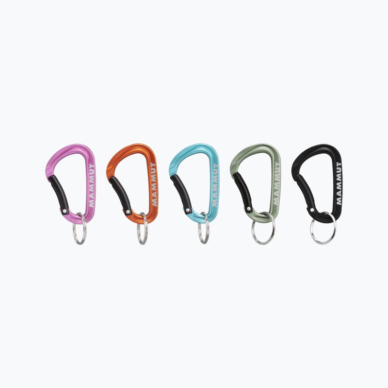 Mammut Mini moschettone Classic Keylock S vari colori
