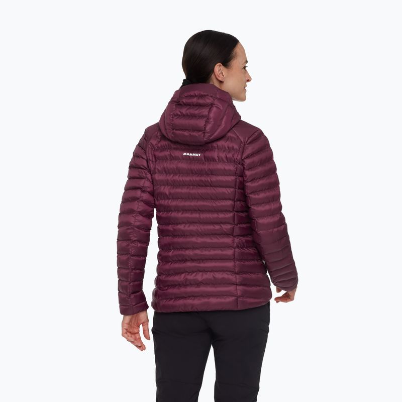 Giacca imbottita da donna Mammut Albula IN Hooded wine/black 2