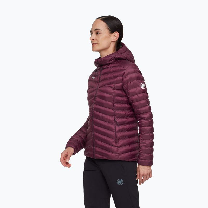 Giacca imbottita da donna Mammut Albula IN Hooded wine/black 3