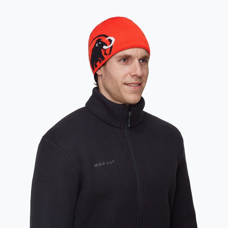 Berretto invernale Mammut Logo black 5