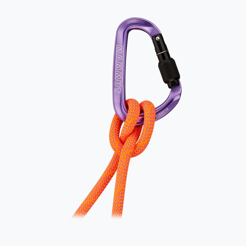 Carabina Mammut Classic HMS Screwgate screw gate/alpine calamint 2