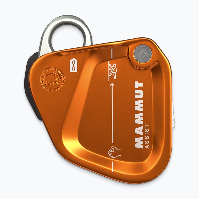 Dispositivo di assicurazione Mammut Assist Belay Resistor gold