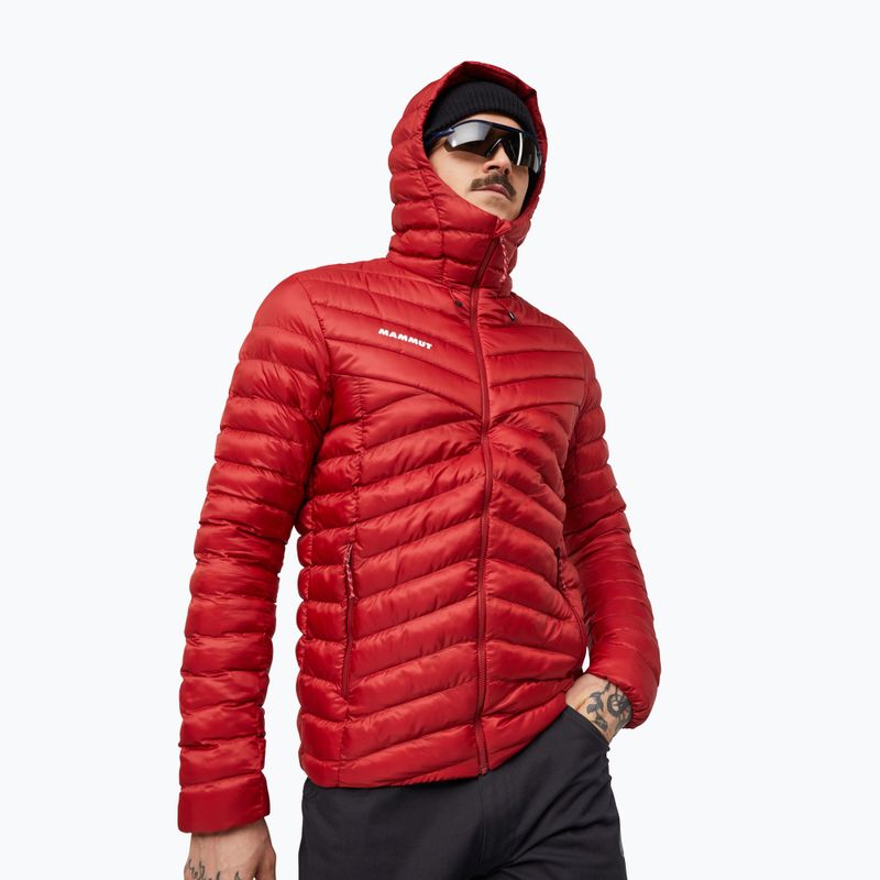 Giacca imbottita da uomo Mammut Albula IN Hooded Jacket Men dark mammut red 3