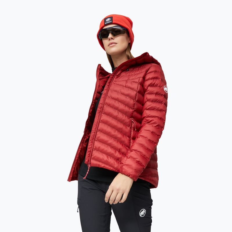 Giacca imbottita da donna Mammut Albula IN Hooded Jacket Women dark mammut red 5