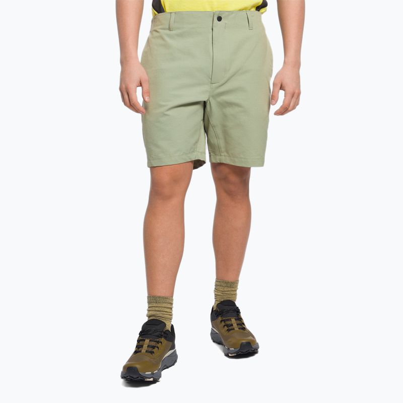 Pantaloncini da arrampicata da uomo The North Face Project tea green