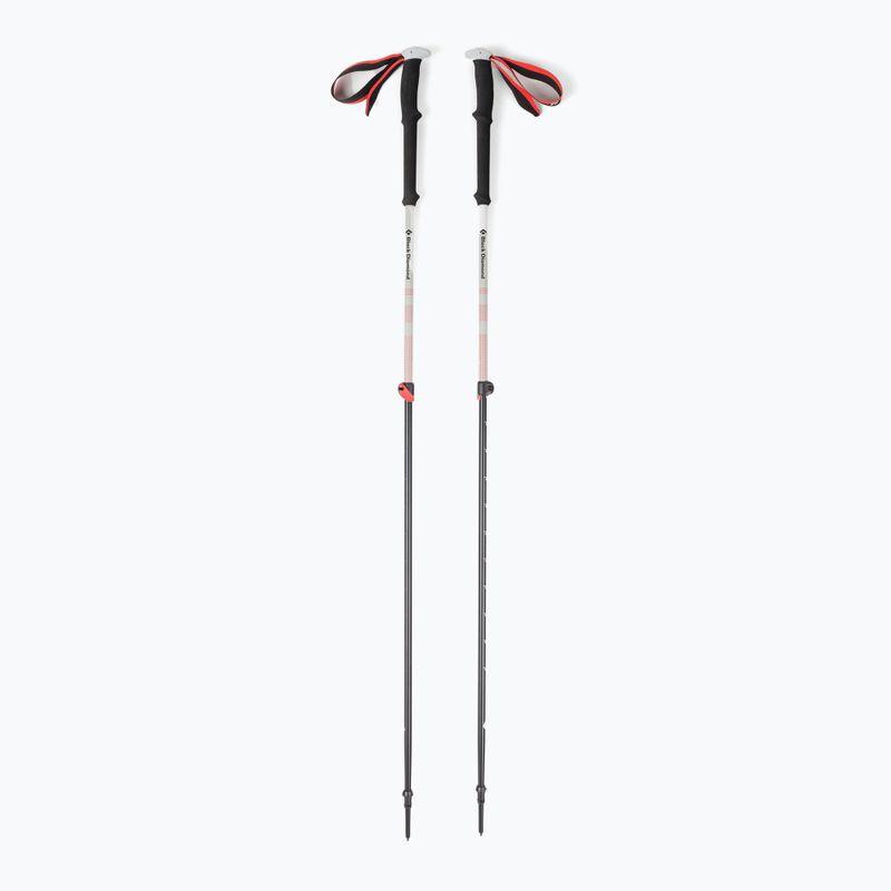 Bastoncini da sci Black Diamond Expedition 2