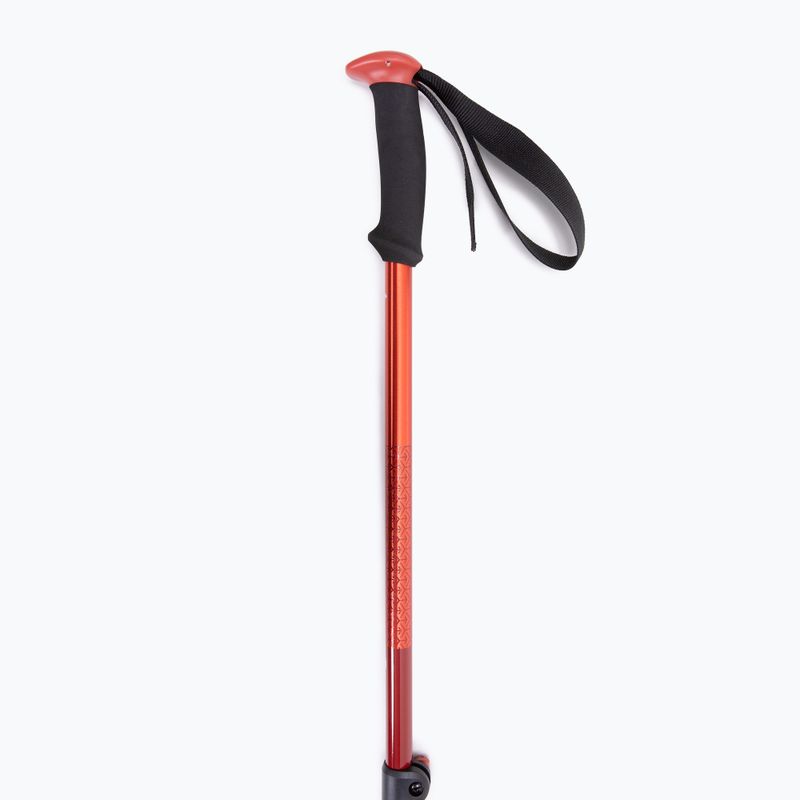 Bastoncini da trekking Black Diamond Trail Sport Trek octane 3