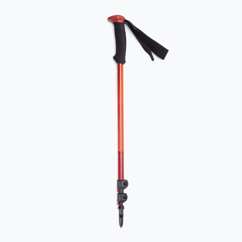 Bastoncini da trekking Black Diamond Trail Sport Trek octane 6