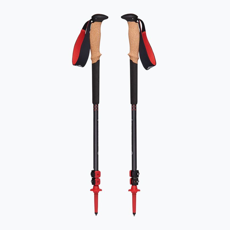 Bastoncini da trekking Black Diamond Pursuit carbone / acetato 2