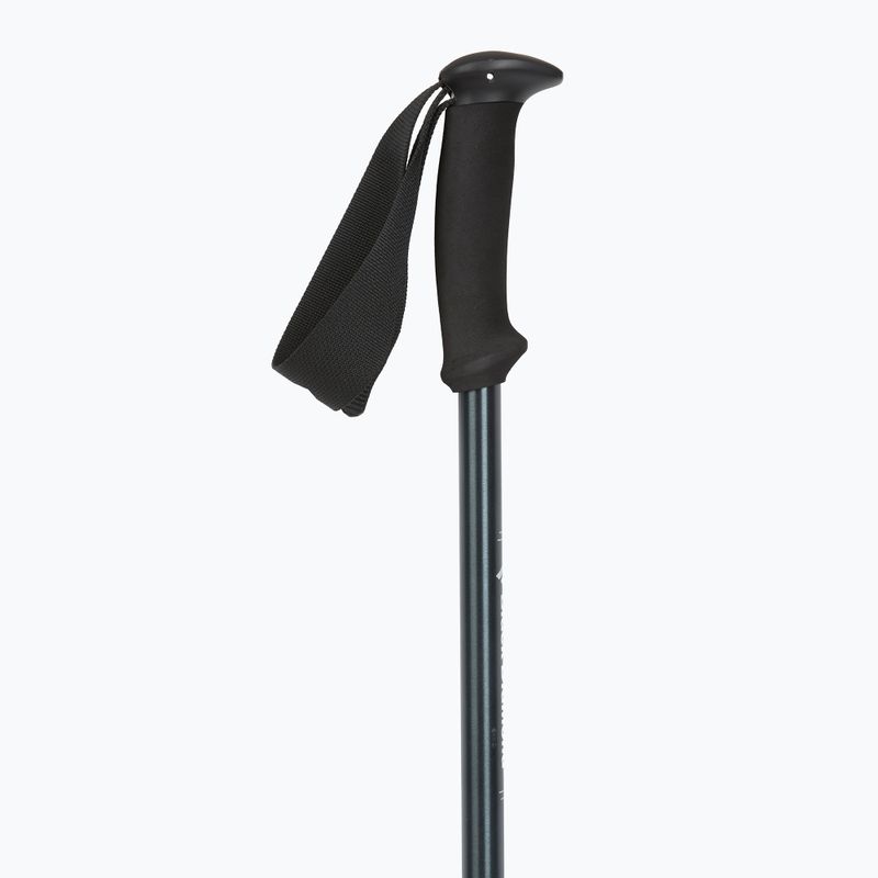 Black Diamond Explorer 2 Bastoncini da trekking blu inchiostro 2