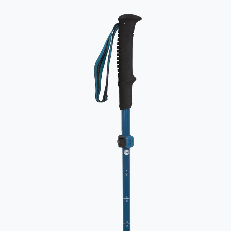 Black Diamond Distance Carbon Flz bastoncini da trekking per il cielo del deserto 2