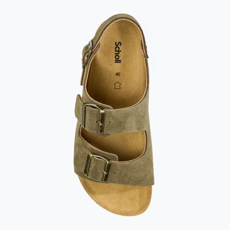 Scholl Henri Sue infradito da uomo color kaki 5