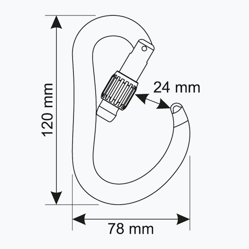 Moschettone da arrampicata CAMP Atom Lock blue 3