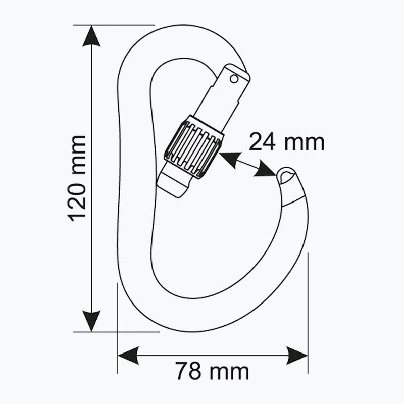 Moschettone CAMP Atom Lock black 3
