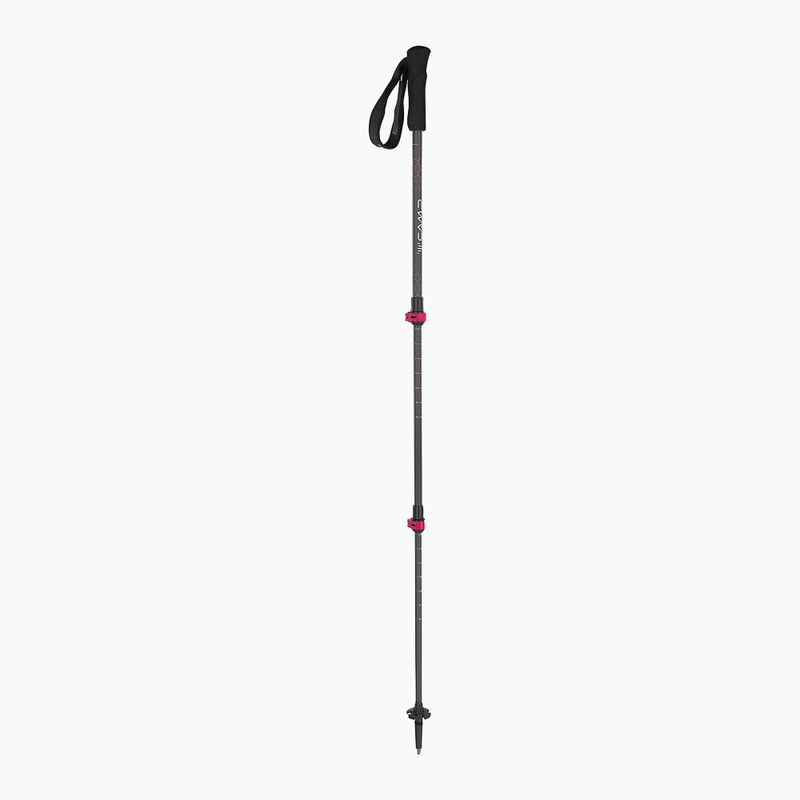 Bastoni da trekking CAMP Backcountry Carbon 2