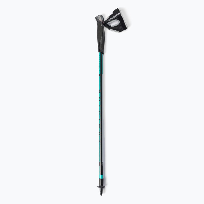 Bastoncini da nordic walking Masters Allenamento con bastoncini da nordic walking 6