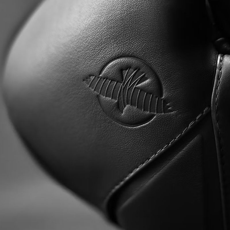 Guantoni da boxe Hayabusa E1 Leather black 4