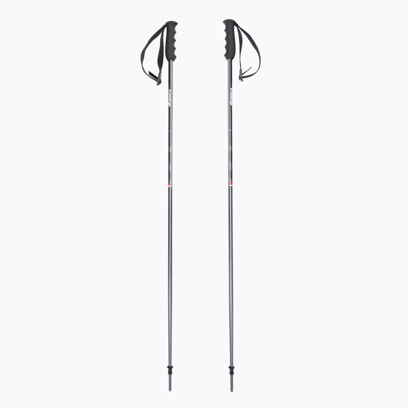 Bastoncini da sci Nordica Alpine TI 16 MM grigio/rosso