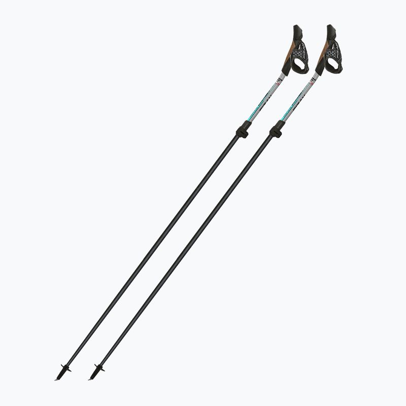 Bastoncini da Nordic walking Fizan Tekno Impulse grey