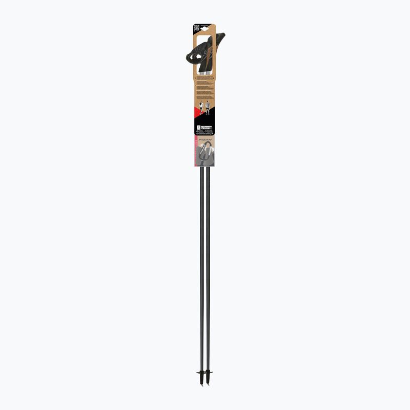 Bastoncini da Nordic walking Fizan Tekno Impulse grey 4