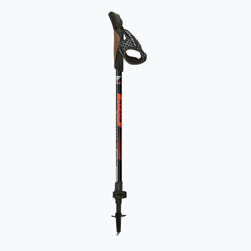 Bastoncini da Nordic walking Fizan R-Evolution Pro red 2
