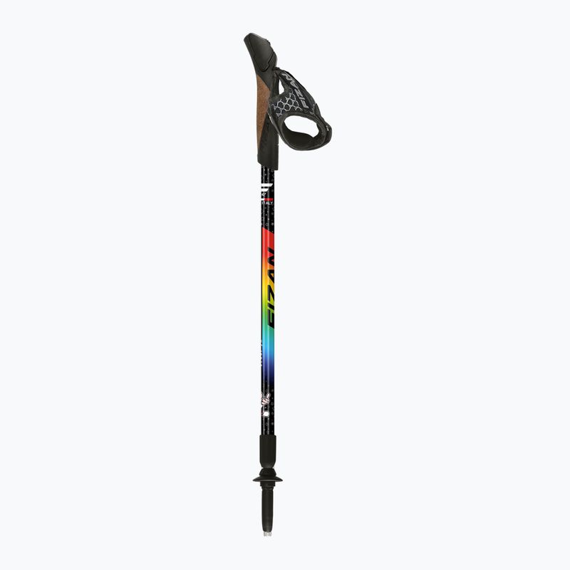 Bastoncini da Nordic walking Fizan Speed Junior rainbow 2