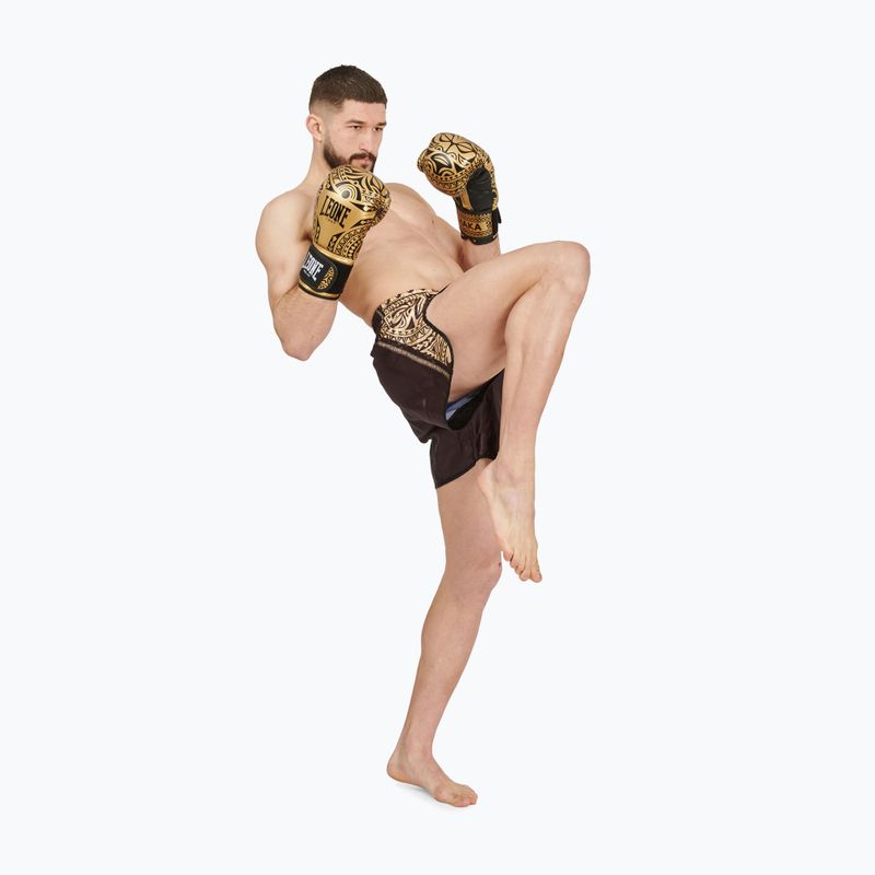 Guantoni da boxe LEONE 1947 Haka black/gold 10