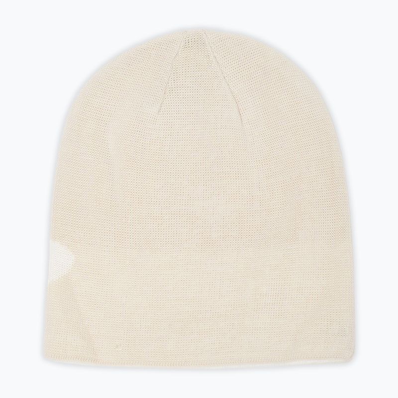 Cappello invernale Oakley Ellipse Mist 2
