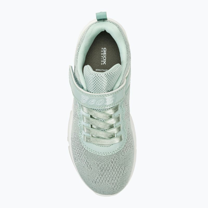 Scarpe Geox Aril light sage junior 5