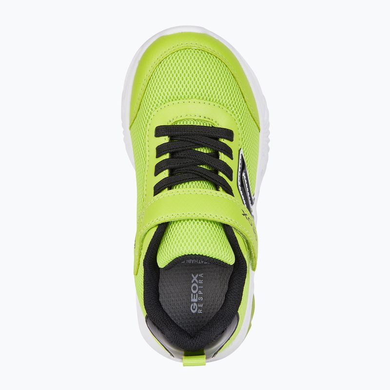 Geox Assister junior scarpe lime/nero 7