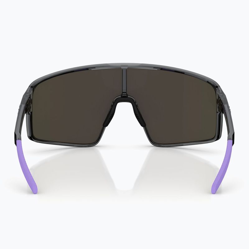 Occhiali da sole Bliz P001S crystal black/grey purple multi 5
