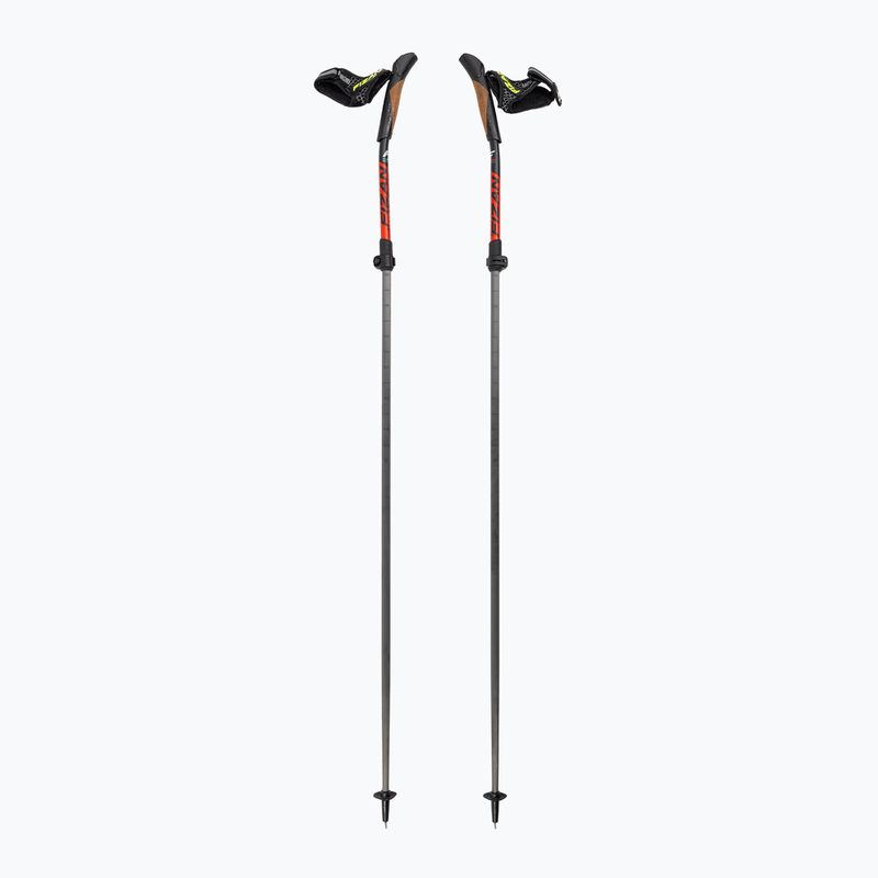 Bastoncini da nordic walking Fizan Carbon Pro Impulse grigio