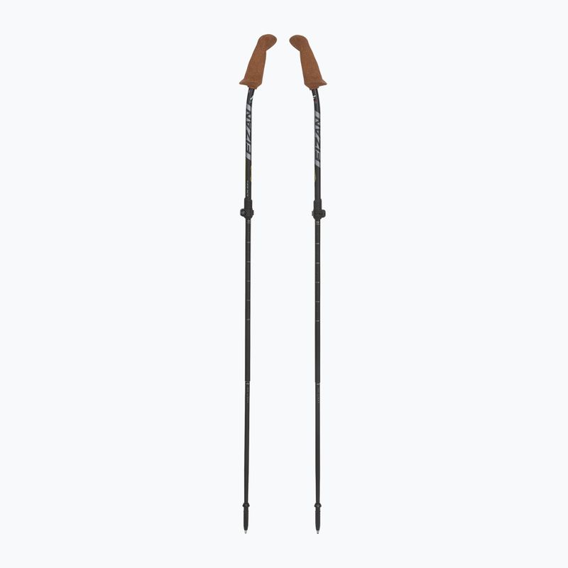 Bastoncini da nordic walking Fizan Walx Xplorer grigio