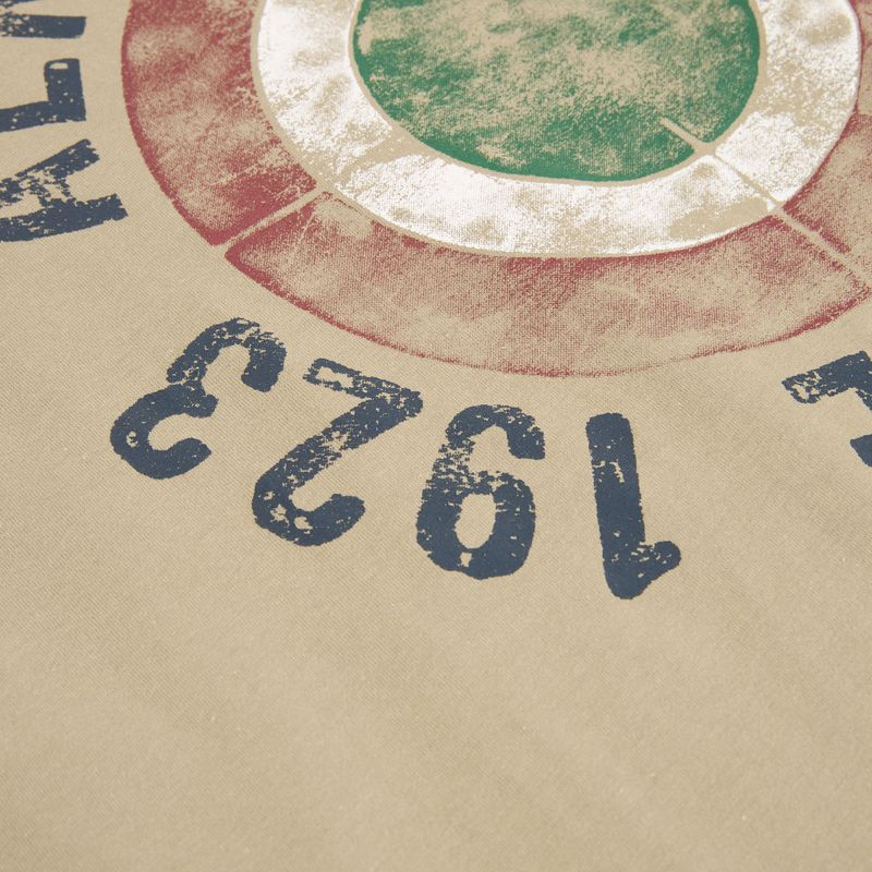 Maglietta da uomo Aeronautica Militare TS2538UJ00727 winter twig 3