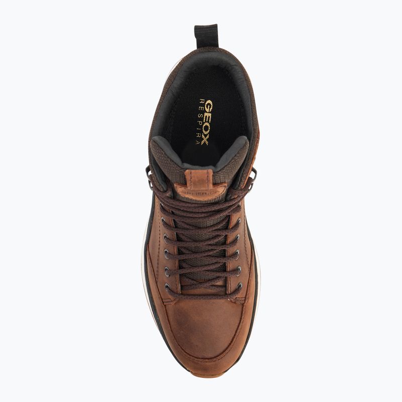 Geox Spherica™ Actif X2 ABX caffè/nero scarpe da uomo 5