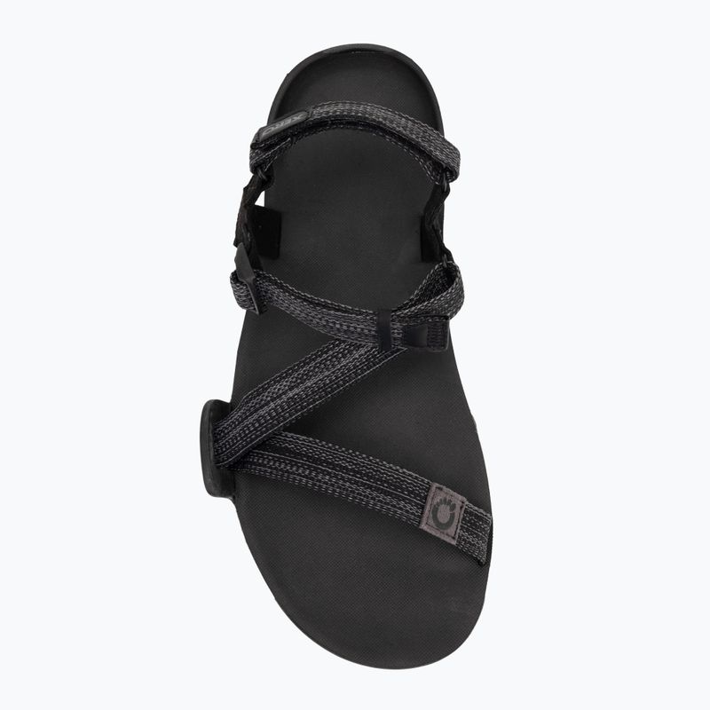 Sandali a piedi nudi da uomo Xero Shoes Z-Trail EV multi / nero 5