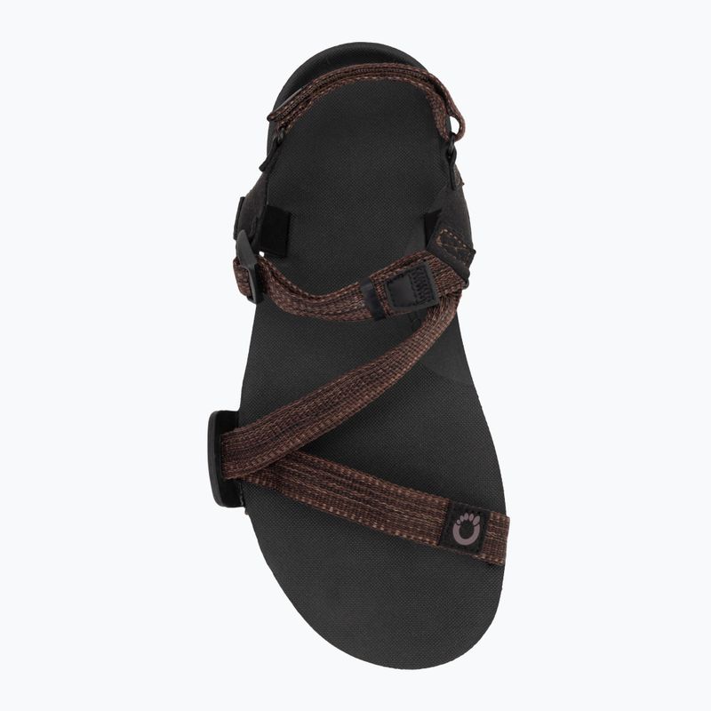 Sandali a piedi nudi da uomo Xero Shoes Z-Trail EV multi / marrone 5
