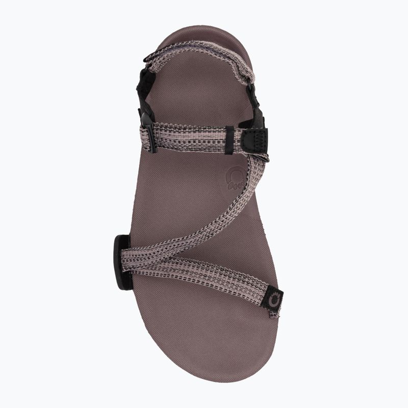 Sandali a piedi nudi da donna Xero Shoes Z-Trail EV dusty / rose 4