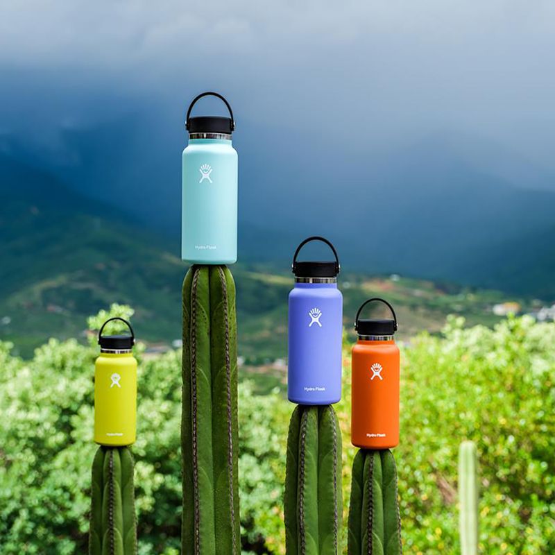 Hydro Flask Wide Flex Sip 470 ml bottiglia termica di goji 6