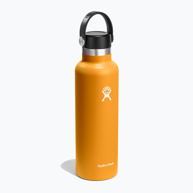 Bottiglia da viaggio Hydro Flask Standard Flex 620 ml fossil 2