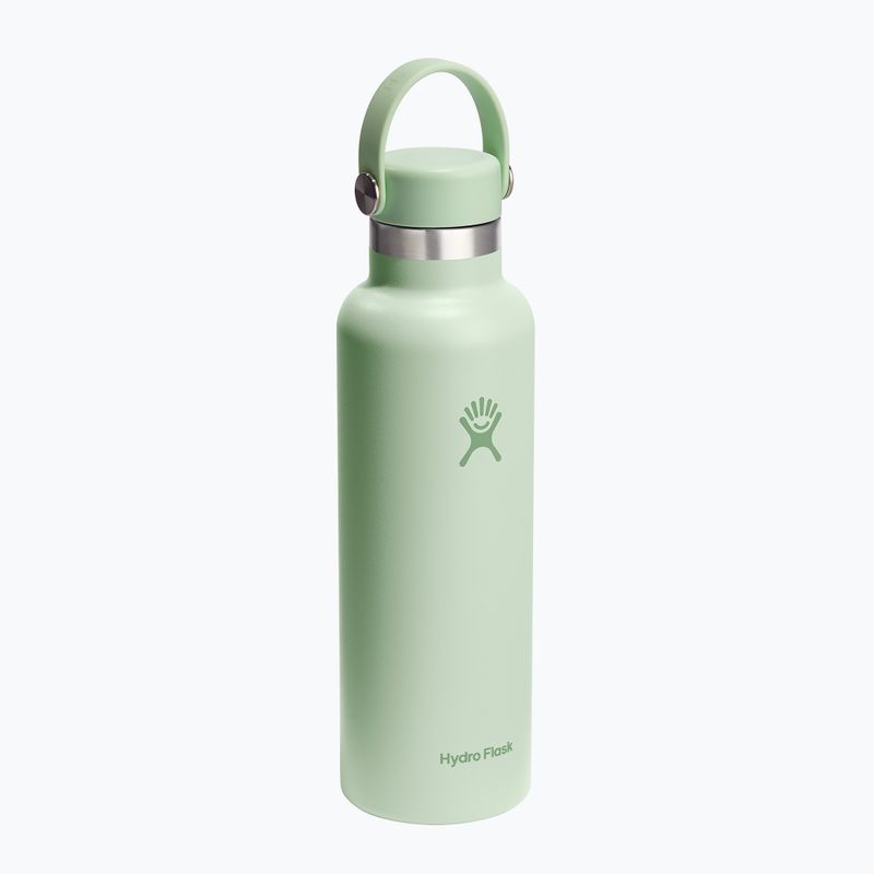 Bottiglia termica Hydro Flask Standard Flex 620 ml aloe 2