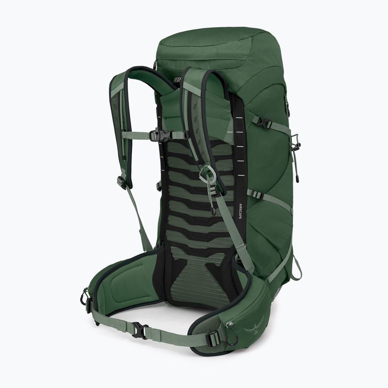 Zaino da escursionismo Osprey Talon 33 l verde canopy/foglia di pino per uomo 2