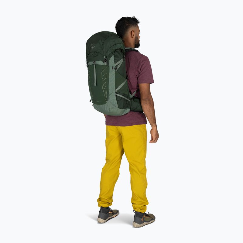 Zaino da escursionismo Osprey Talon 33 l verde canopy/foglia di pino per uomo 5