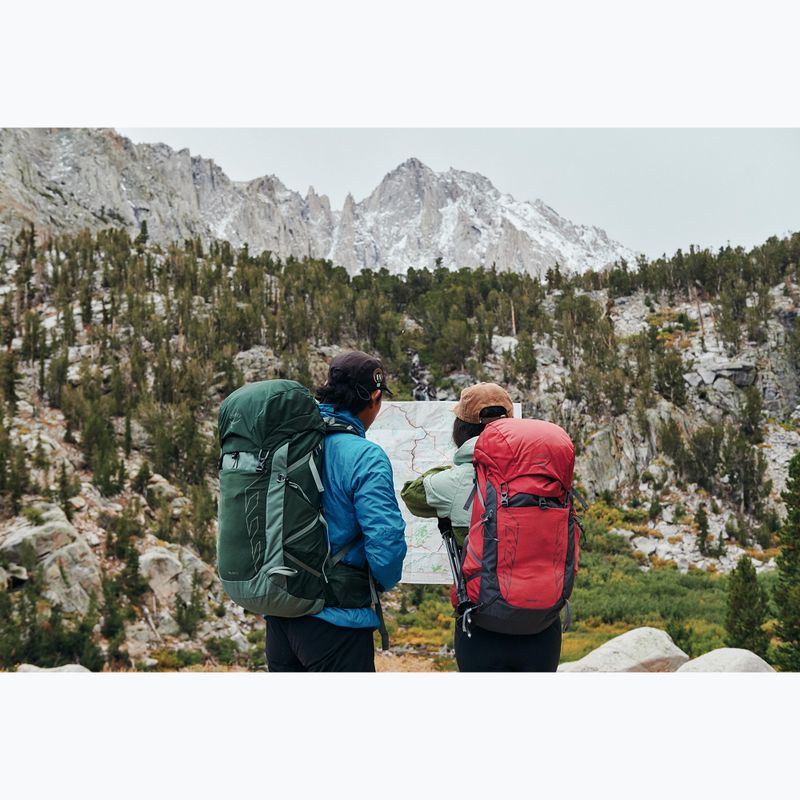 Zaino da escursionismo Osprey Talon 33 l verde canopy/foglia di pino per uomo 17